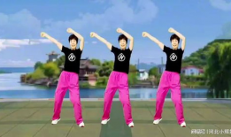 九九操视频,轻松入门的养生健身指南